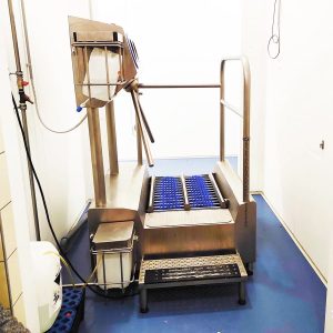 Hygiene, washing, disinfection