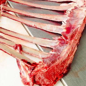 PetFood - Pet food technology lines