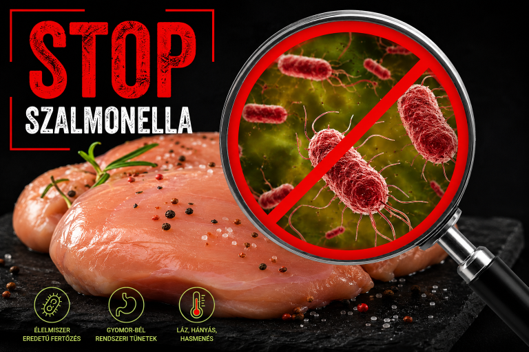 Szalmonella és E. coli fertőzések megelőzése a modern húsiparban – A Kromiker Kft. higiéniai megoldásai
